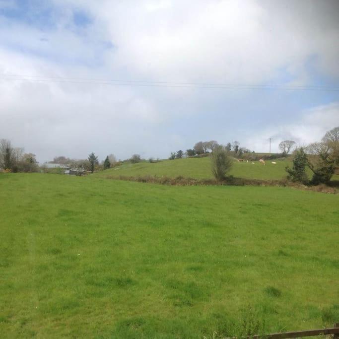 Killarney Farm House. מראה חיצוני תמונה